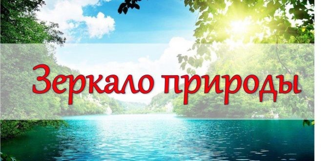 Итоги муниципального этапа конкурса детского творчества «Зеркало природы».